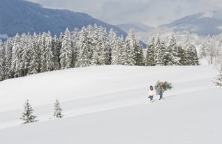 Flachau - city in Austria