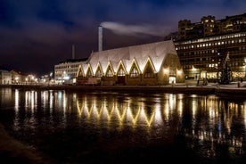 Upptäck Göteborgs mest fotogena platser med en lokal