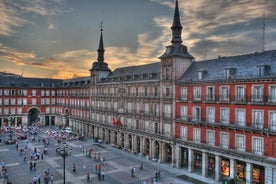 Tour personalizzato privato di Madrid con biglietto saltafila al Museo del Prado