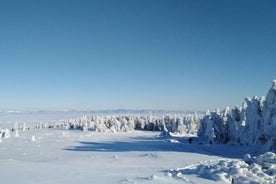 One-Day Hiking with Snowshoes on Vitosha