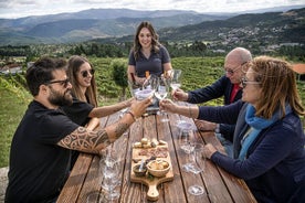 Dégustation Premium | Quinta de Santa Cristina Vinho Verde