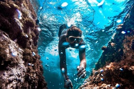 Bike & boat - Dubrovnik to Mljet National park and Odysseus cave