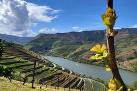 Private Tour in the Douro with Family Vineyards and Viewpoint