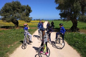 Tour privado en bicicleta con degustación de aceite de oliva