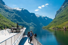 Visite guidée d'une journée - Croisière Premium Nærøyfjord et chemin de fer de Flåm