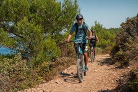 Electric Off-Road Scooter Tour in Pula