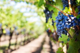 Halbtägige Weintour auf Madeira