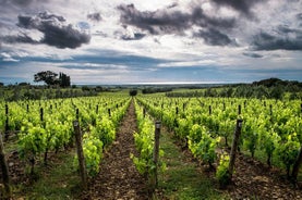 Deliciosa experiência vinícola da Toscana em lugares encantadores