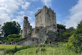 Privérondleiding door Blarney Castle, Kinsale en Cork