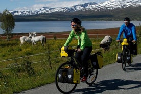 Touring-Trekking cykeludlejning i Tromsø - 1 til 2 dage