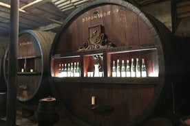 Privado y personalizable Los imprescindibles de la Ruta del Vino de Alsacia en 3 horas