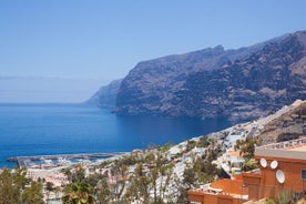 Dagstur med offisiell guide rundt øya Tenerife