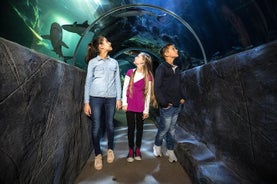 SEA LIFE Munich Admission Ticket