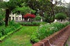 Municipal Garden of Funchal travel guide