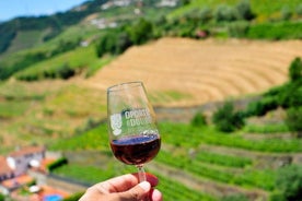 Tour Privado - o autêntico Douro Vinhateiro