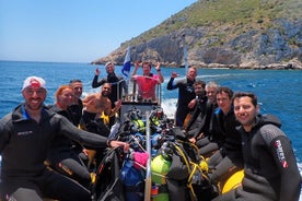 Cours de plongée en eau libre dans le parc naturel d'Arrabida (près de Lisbonne)