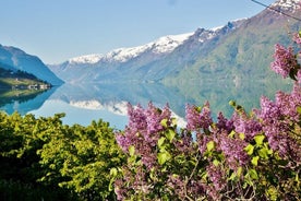 AMAZING HARDANGER FJORD: Private guided round trip from Bergen, 10 hours