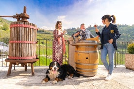 Tour dell’Amarone: 2 cantine con pranzo