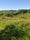 Snipe Dales, Lusby with Winceby, East Lindsey, Lincolnshire, East Midlands, England, United Kingdom