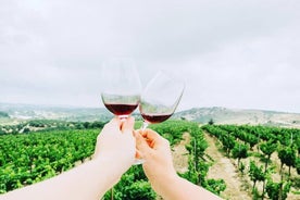 Expérience gastronomique crétoise privée Visite d'une cave avec dégustations et cours de cuisine