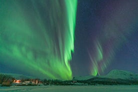 Guided Northern Light Tour with Sami Dinner