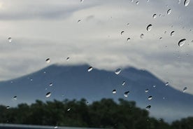  ポンペイ、ヴェスヴィオ火山、ワイン テイスティングのプライベート 1 日ツアー