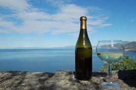 CAMOGLI: Degustazione Vini Liguri PRIVATA e passeggiate nel Parco Nazionale