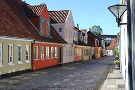 Excursão a pé privada em Odense