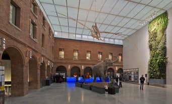 Muséum de Toulouse