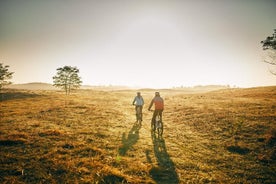 Visite à vélo de Deliblatska Peščara