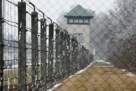 Dachau Concentration Camp Private Tour from Nuremberg 