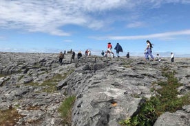 Rail Tour: The Cliffs of Moher & Bunratty Castle Tour