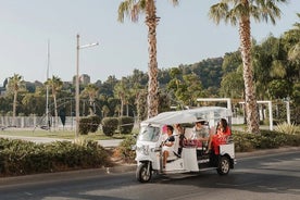 Välkomsttur till Malaga i Private Eco Tuk Tuk