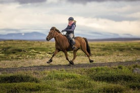 Sérstakt reiðprógram fyrir lengra komna hestamenn - Gefðu mér 5! - 2 til 3 klst