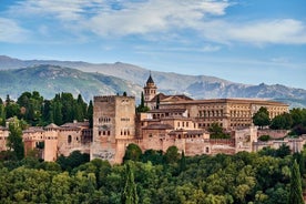 Granada: Alhambra Guided Tour including Nasrid Palaces