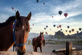 Cappadocia Ratsastus Koe Sunrise Sunset Daytime