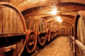 Chianti Lovers Tour- 2 Wineries and SuperTuscan Small Group from Pisa