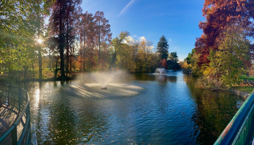 Photo of Sunset view of a small lake located in a park in the center of Bologna, Italy.