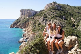 Falaises côtières et plages : excursion privée d'une journée