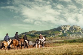 Liberty Trails - Dartmoor Horseback Adventures