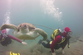 Session de plongée sous-marine pour débutants à Costa Adeje