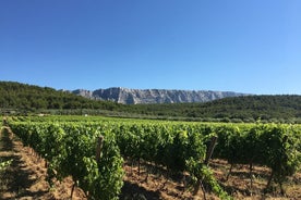 Kurze Tagestour durch Aix en Provence und Weinprobe