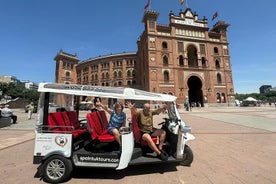 Tuk tuk guided tour in Madrid 3 hours