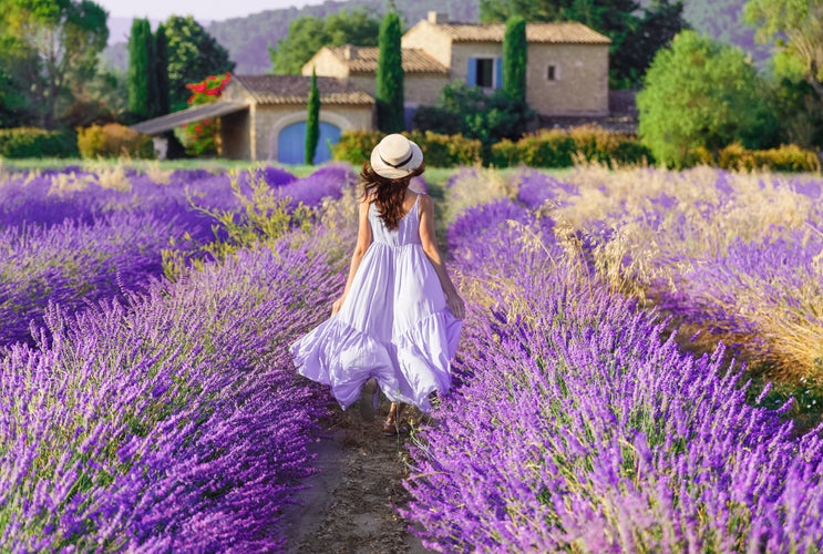 Provence, France.jpg