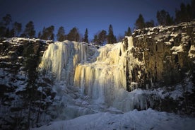 Frá Rovaniemi: Korouoma-gljúfur og frosnir fossar ferð