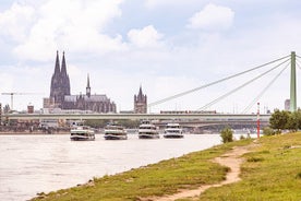 Panoramic trip on the Rhine 60 minutes