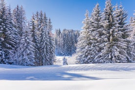 Photo of The winter view on the montains and ski lift station in French Alps near Chamonix Mont-Blanc.