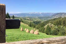 PRIVÉ-dag Wandeling op glooiende heuvels nabij Bran Castle, door bergdorpjes