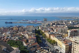 Cagliari city tour and flamingo park by minivan and on foot