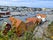 King Harald I Fairhair statue, Haugesund, Rogaland, Norway